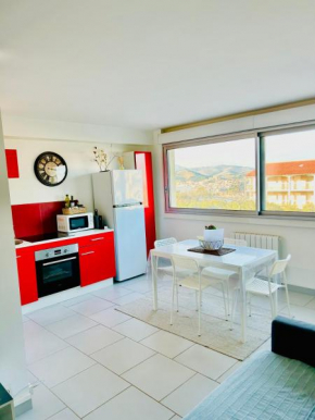 Magnifique appartement spacieux 6 personnes Banyuls sur mer
